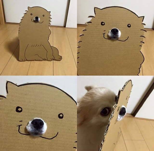 Bildschirmarbeiter - Picdump 06.05.2016