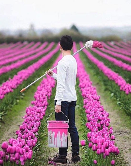 Bildschirmarbeiter - Picdump 06.05.2016