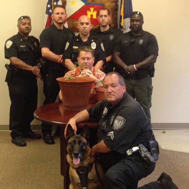 Bildschirmarbeiter - Picdump 06.05.2016