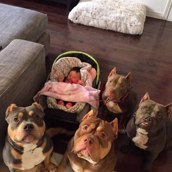 Bildschirmarbeiter - Picdump 13.05.2016