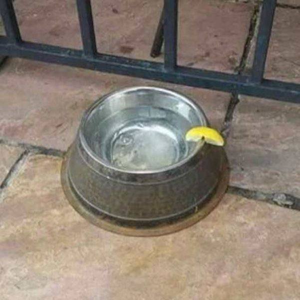 Bildschirmarbeiter - Picdump 13.05.2016