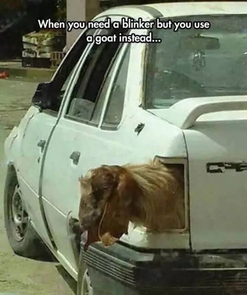 Bildschirmarbeiter - Picdump 13.05.2016