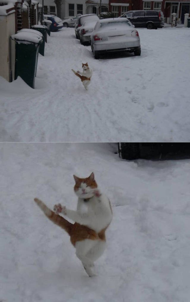 Bildschirmarbeiter - Picdump 13.05.2016