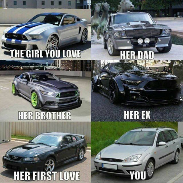 Bildschirmarbeiter - Picdump 13.05.2016