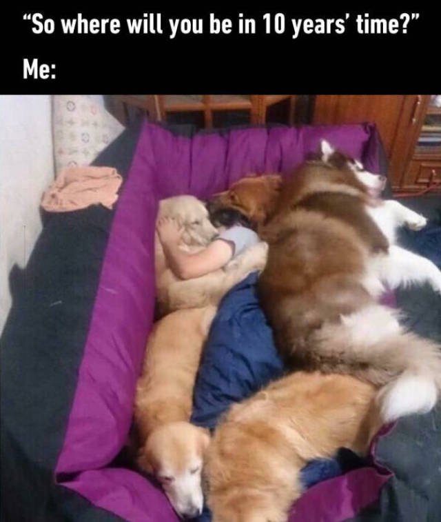 Bildschirmarbeiter - Picdump 13.05.2016