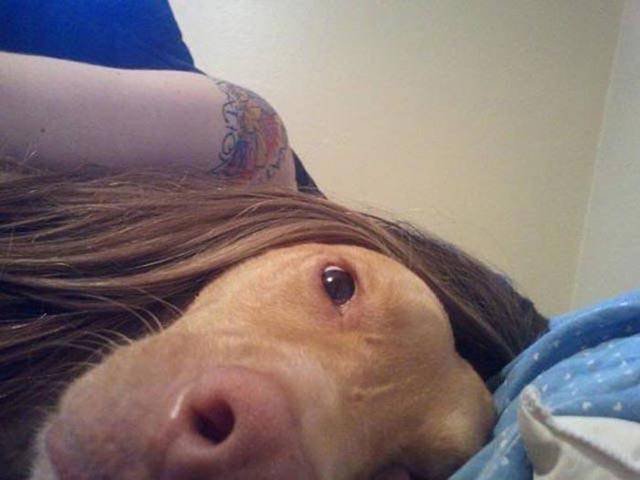 Bildschirmarbeiter - Picdump 13.05.2016