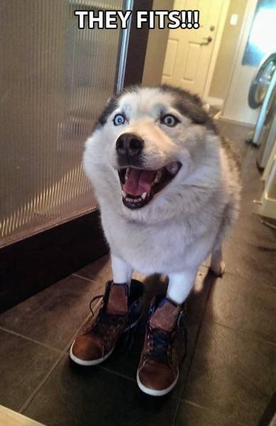 Bildschirmarbeiter - Picdump 13.05.2016