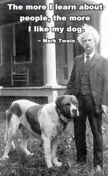 Bildschirmarbeiter - Picdump 13.05.2016