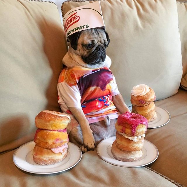 Bildschirmarbeiter - Picdump 10.06.2016