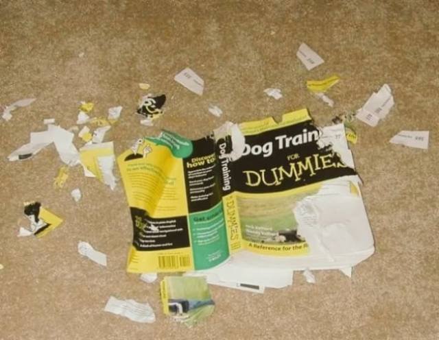 Bildschirmarbeiter - Picdump 10.06.2016