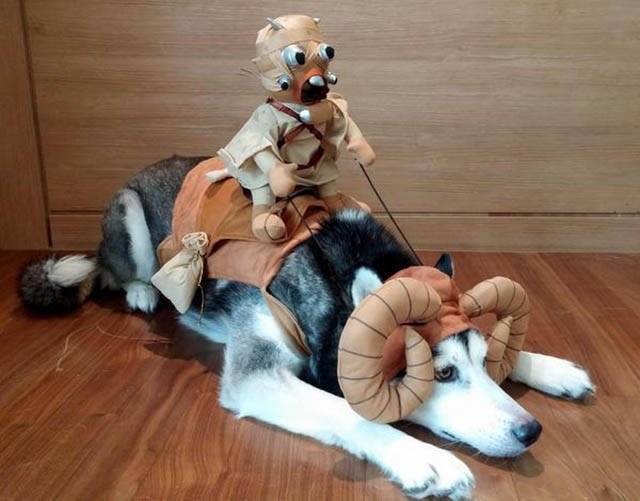 Bildschirmarbeiter - Picdump 10.06.2016