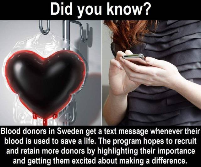 Bildschirmarbeiter - Picdump 10.06.2016