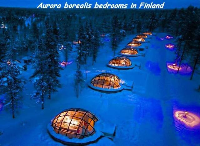 Bildschirmarbeiter - Picdump 10.06.2016