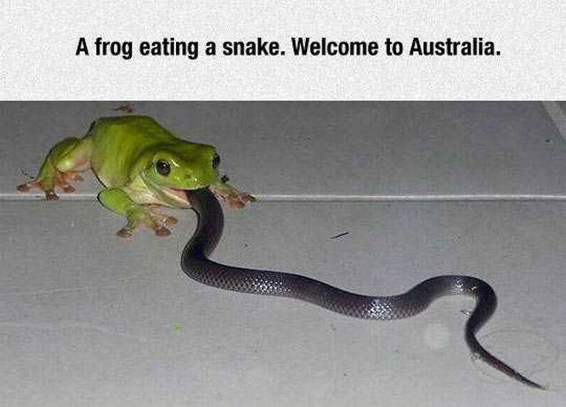 Bildschirmarbeiter - Picdump 10.06.2016