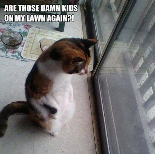 Bildschirmarbeiter - Picdump 10.06.2016