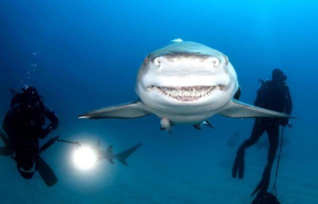 Bildschirmarbeiter - Picdump 10.06.2016