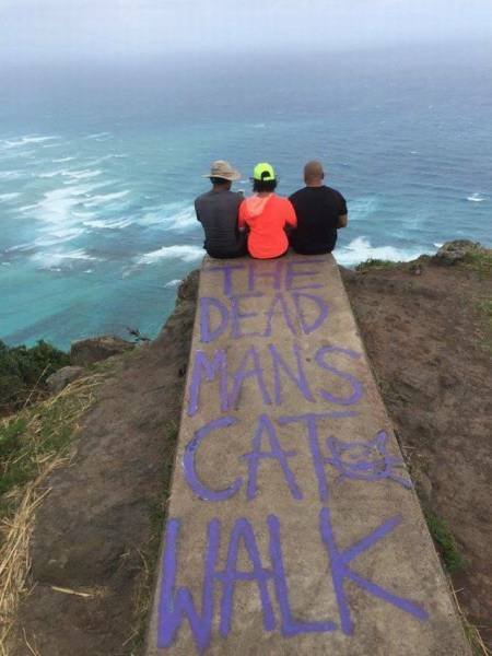 Bildschirmarbeiter - Picdump 10.06.2016