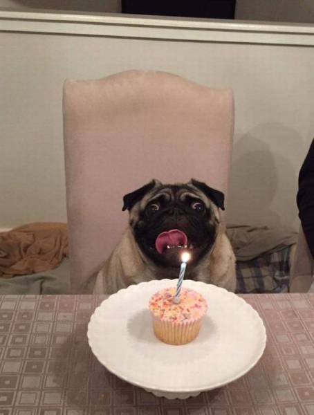 Bildschirmarbeiter - Picdump 10.06.2016