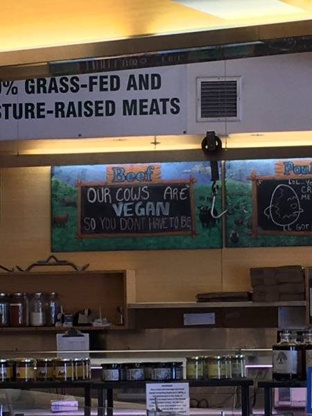 Bildschirmarbeiter - Picdump 10.06.2016