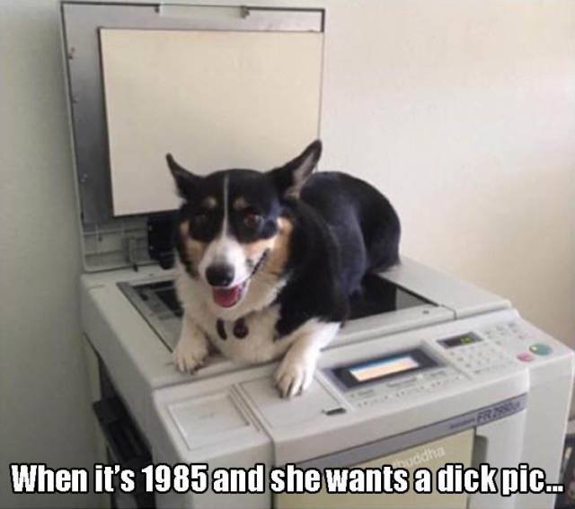 Bildschirmarbeiter - Picdump 10.06.2016