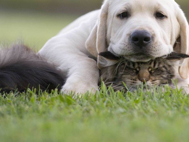 Bildschirmarbeiter - Picdump 10.06.2016