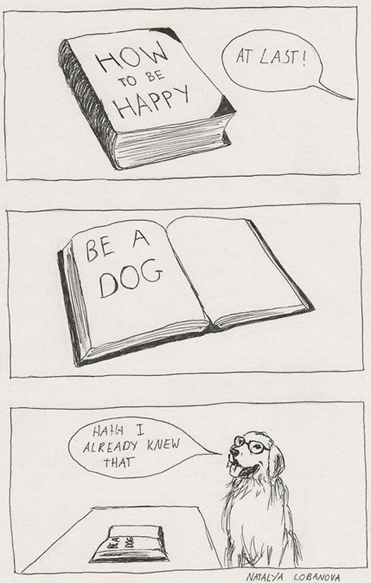 Bildschirmarbeiter - Picdump 10.06.2016