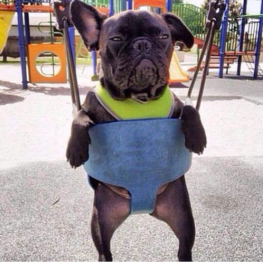 Bildschirmarbeiter - Picdump 10.06.2016