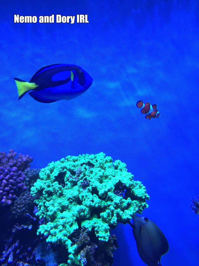 Bildschirmarbeiter - Picdump 10.06.2016