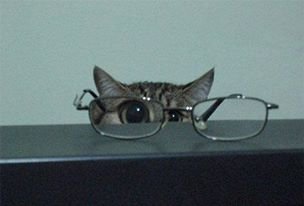 Bildschirmarbeiter - Picdump 10.06.2016