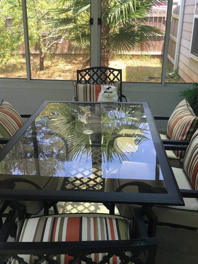 Bildschirmarbeiter - Picdump 10.06.2016