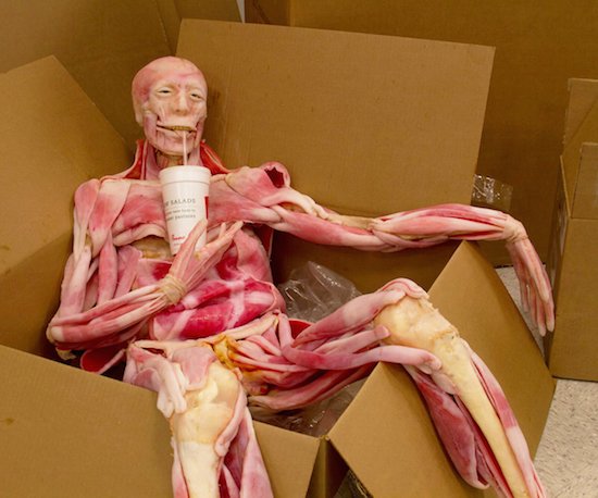 Bildschirmarbeiter - Picdump 10.06.2016