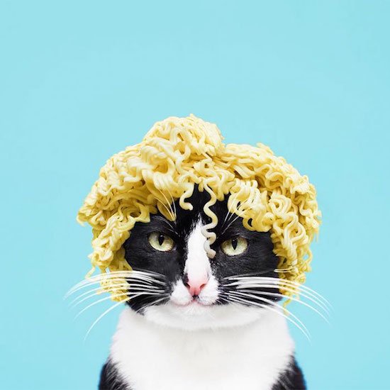 Bildschirmarbeiter - Picdump 10.06.2016