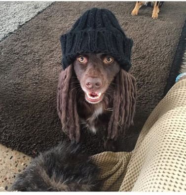 Bildschirmarbeiter - Picdump 10.06.2016