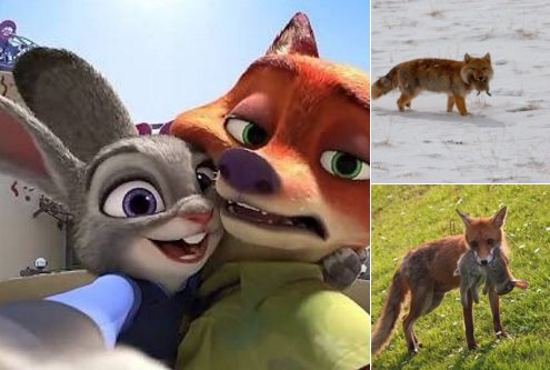 Bildschirmarbeiter - Picdump 10.06.2016