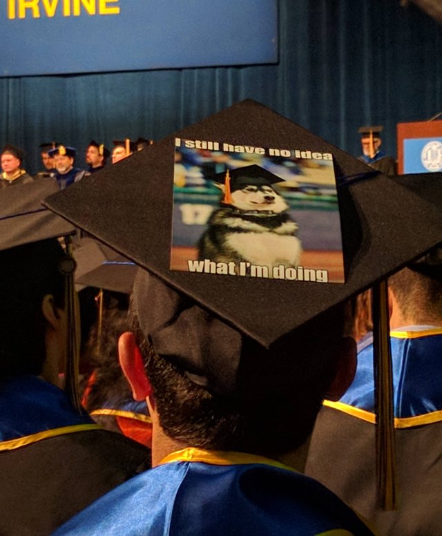 Bildschirmarbeiter - Picdump 17.06.2016