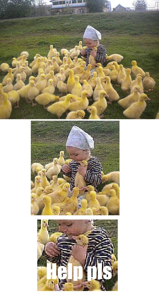 Bildschirmarbeiter - Picdump 17.06.2016