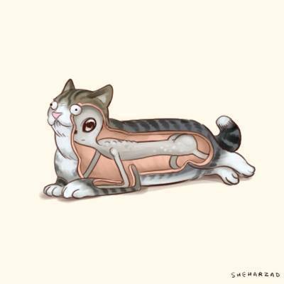 Bildschirmarbeiter - Picdump 17.06.2016