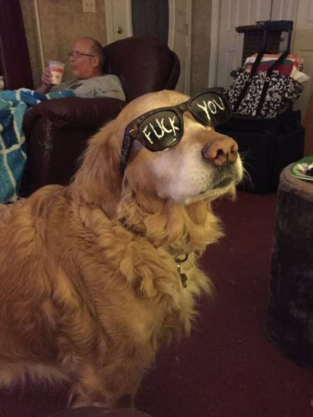 Bildschirmarbeiter - Picdump 17.06.2016