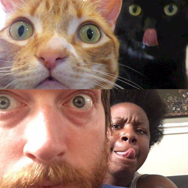 Bildschirmarbeiter - Picdump 17.06.2016