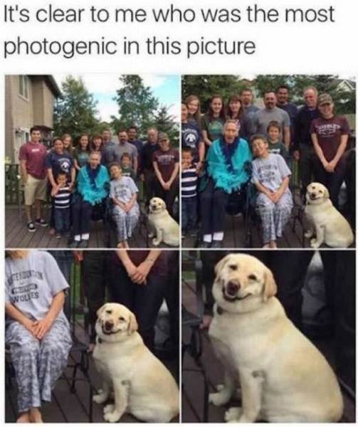 Bildschirmarbeiter - Picdump 17.06.2016