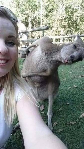 Bildschirmarbeiter - Picdump 17.06.2016