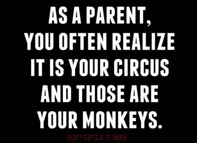 Bildschirmarbeiter - Picdump 17.06.2016