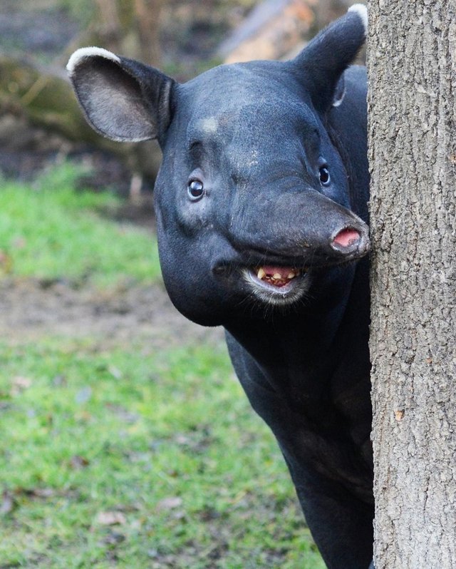 Bildschirmarbeiter - Picdump 17.06.2016