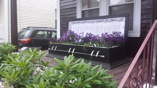 Bildschirmarbeiter - Picdump 17.06.2016