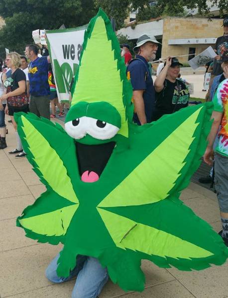 Bildschirmarbeiter - Picdump 17.06.2016