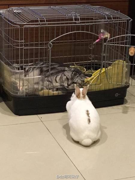 Bildschirmarbeiter - Picdump 17.06.2016