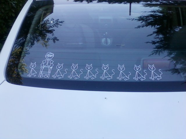 Bildschirmarbeiter - Picdump 17.06.2016