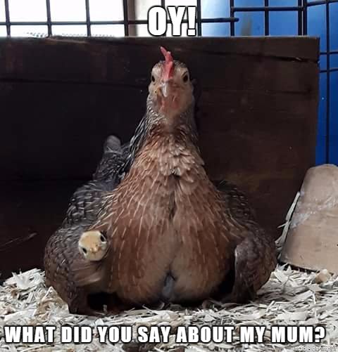 Bildschirmarbeiter - Picdump 17.06.2016