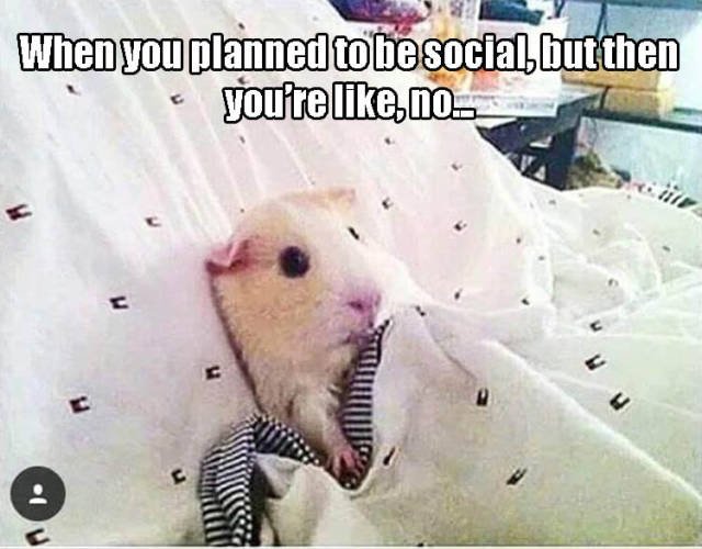 Bildschirmarbeiter - Picdump 17.06.2016