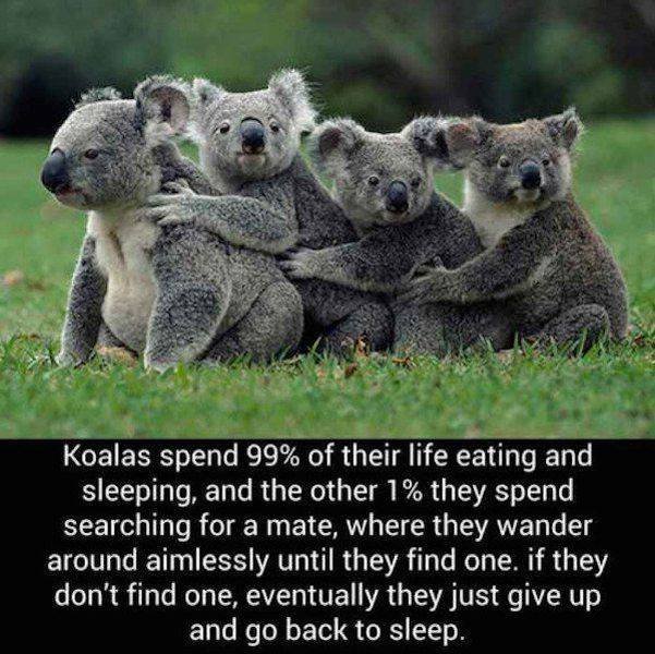 Bildschirmarbeiter - Picdump 24.06.2016